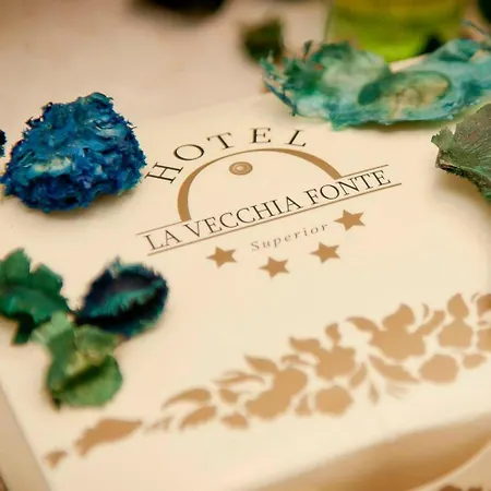 Hotel La Vecchia Fonte Boutique 4*