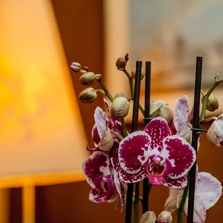 La Vecchia Fonte Boutique 4*