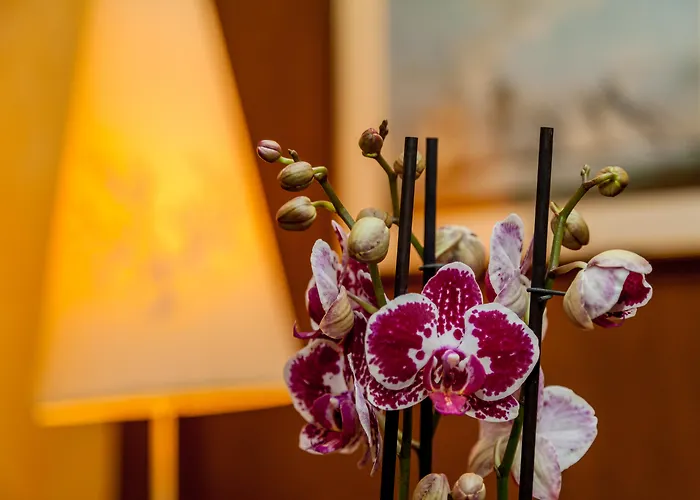 La Vecchia Fonte Boutique 4*